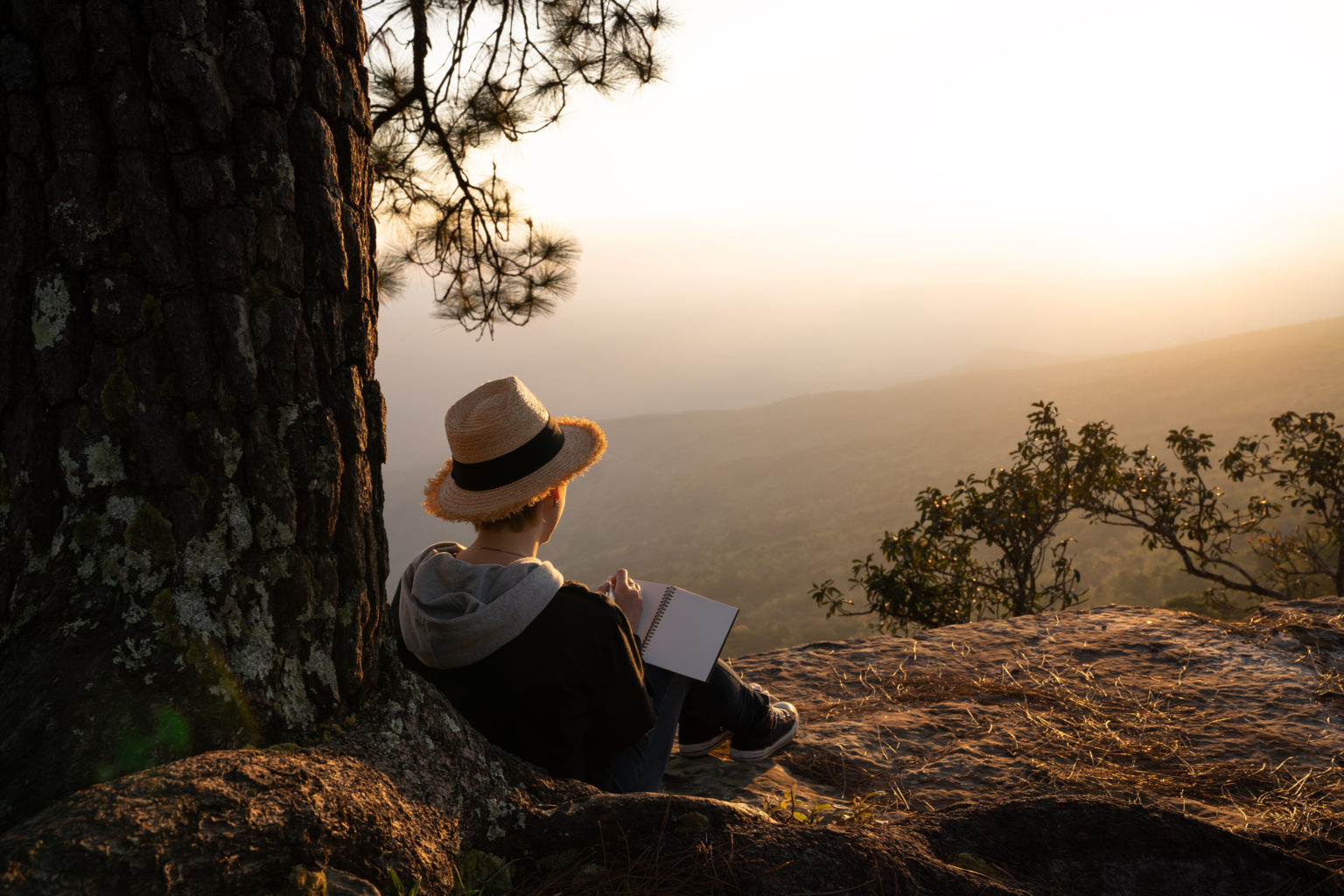 Woman Sitting Under A Pine Tree Reading And Writing Looking Out At A 